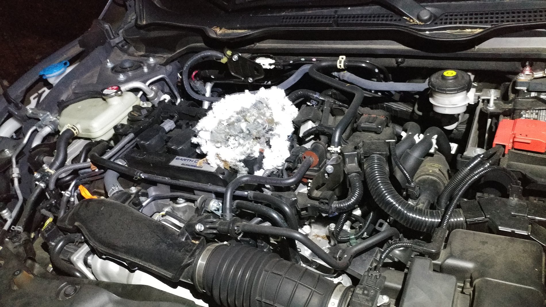 Honda Civic 10th gen Had a mouse, where else this insulation/deadener? 20190314_204919_HDR