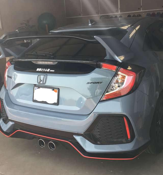 Opinions on red pinstripe along R-style spoiler? 2016+ Honda Civic Forum (10th - Type R Forum, Si Forum - CivicX.com