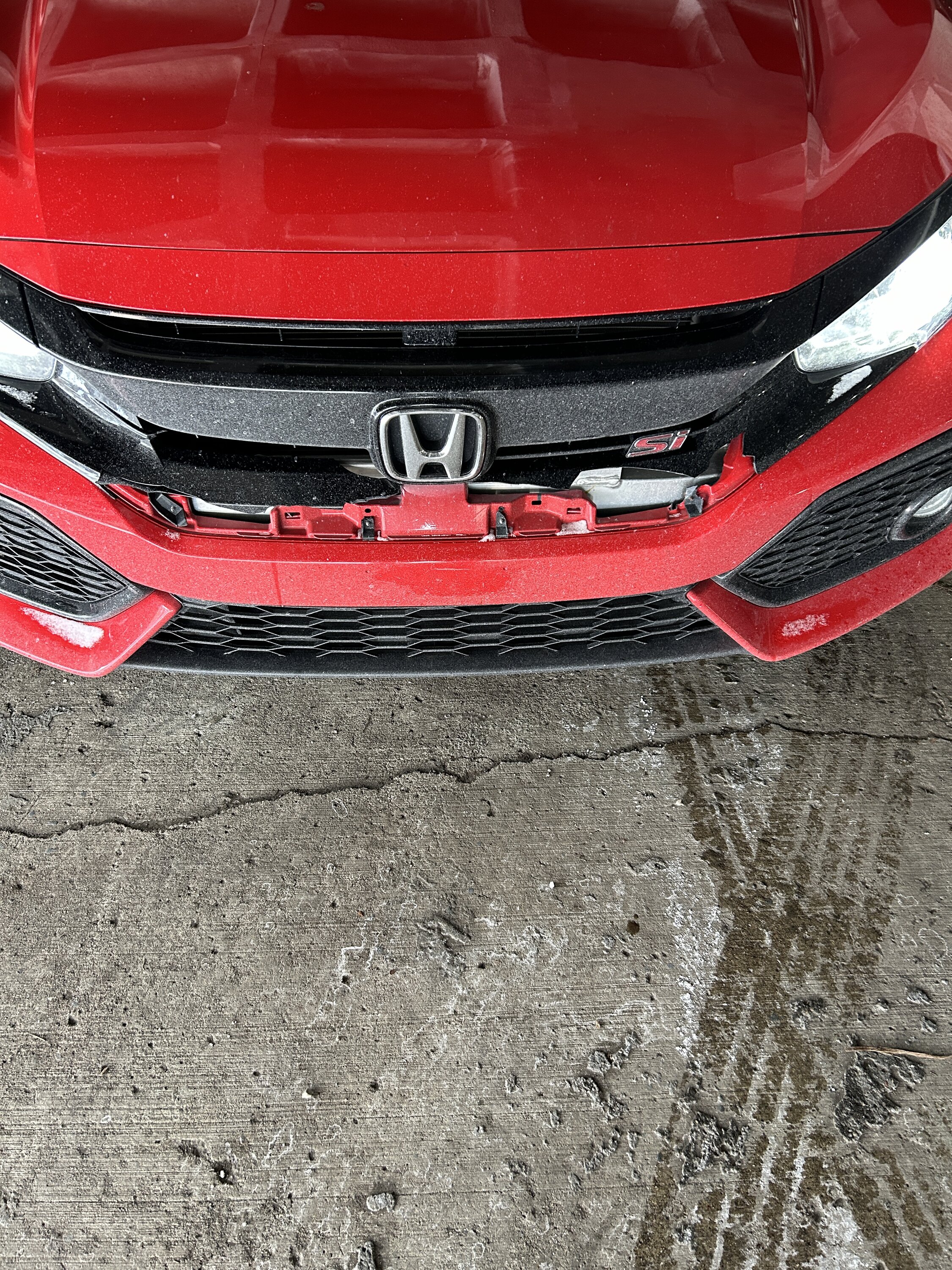 Honda Civic 10th gen looking for front grille si/advice IMG_0947.JPG