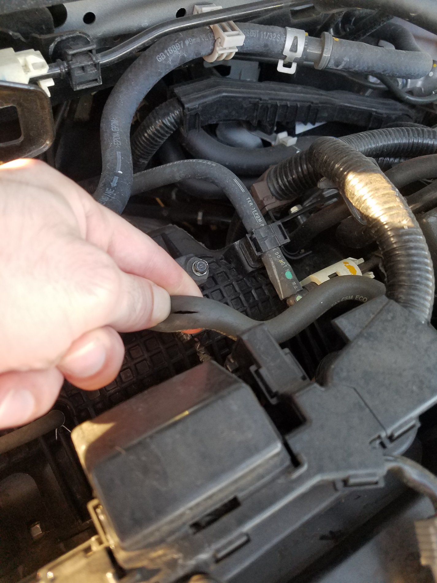 Honda Civic 10th gen PCV hose/valve problem at 80k pcvhose